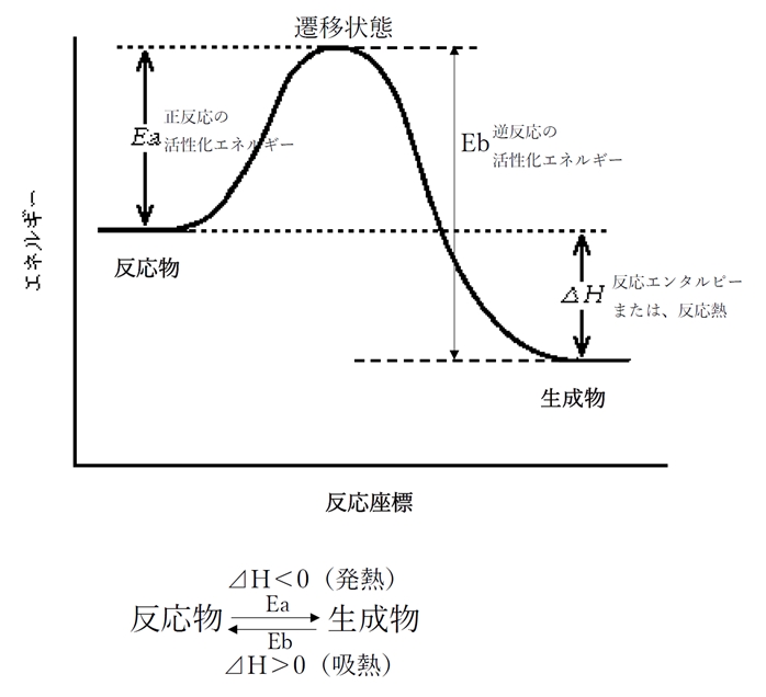 発熱反応・吸熱反応のエネルギー図とエンタルピー変化(⊿H) 薬学